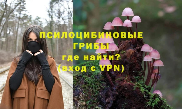СК Абдулино