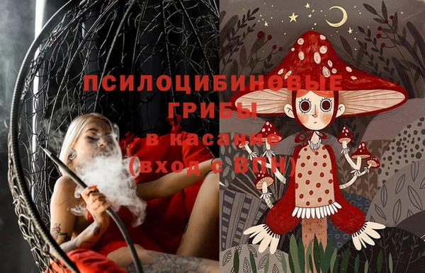 бошки Абинск