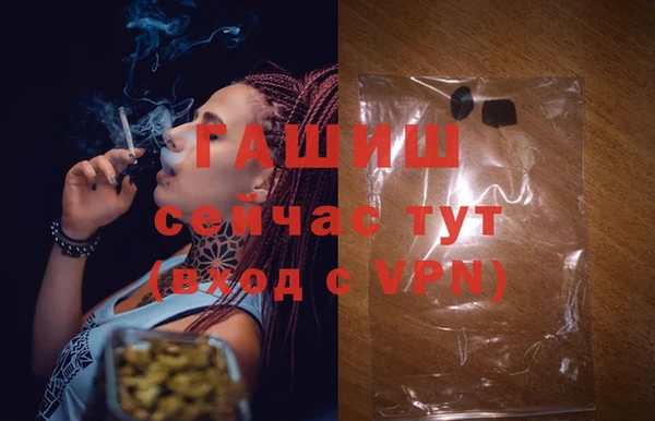 крисы Абаза
